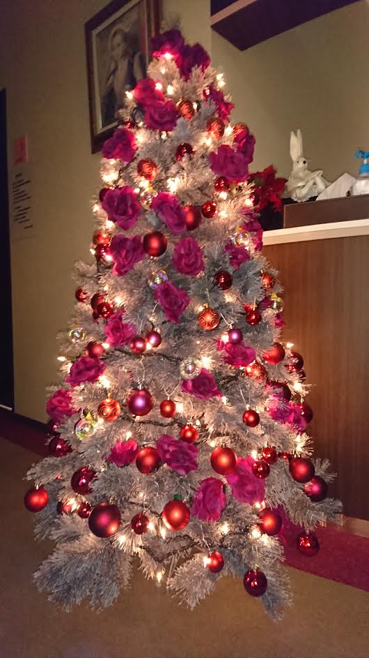 コラム　花と生き物係　クリスマスツリー写真