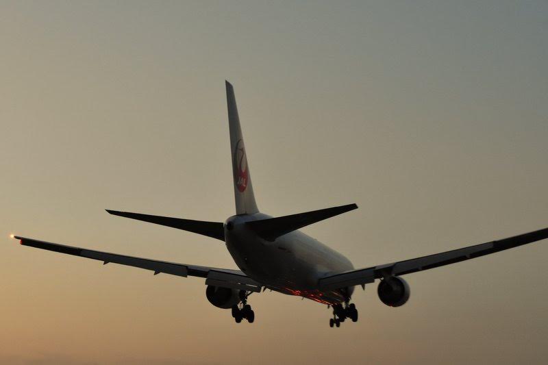 コラム　まつお内科写真部　伊丹空港で飛行機を撮影