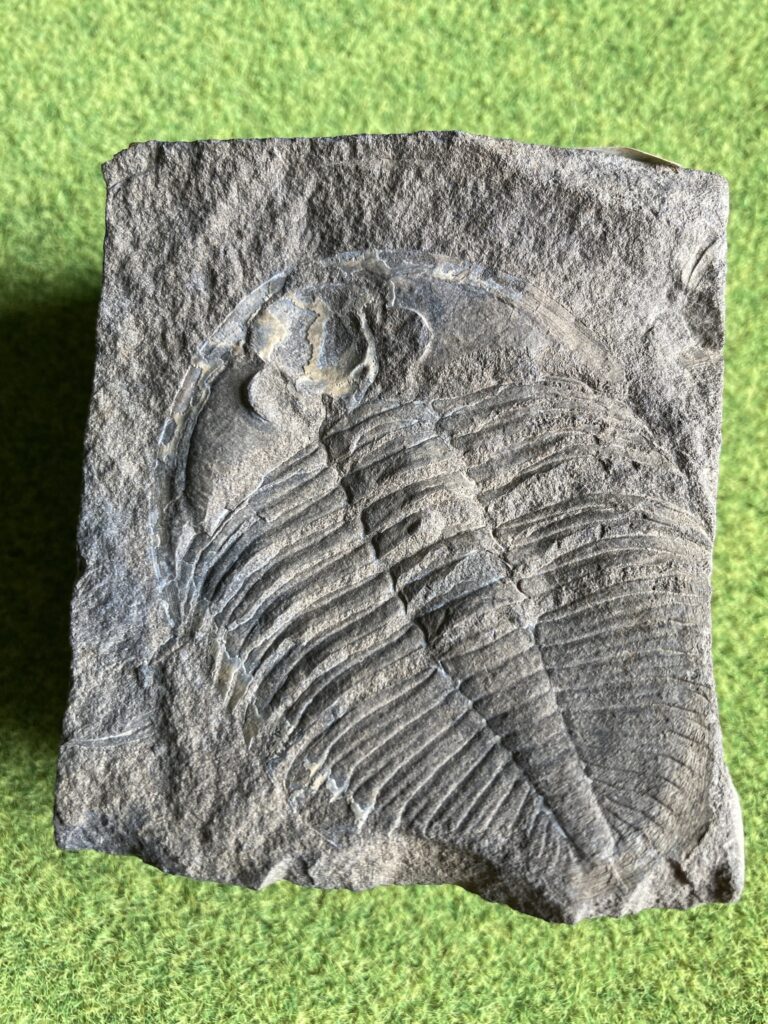 現在の画像に代替テキストがありません。ファイル名: 202608_画像1_-scaled-e1787105467349.jpg