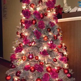 コラム　花と生き物係　クリスマスツリー写真